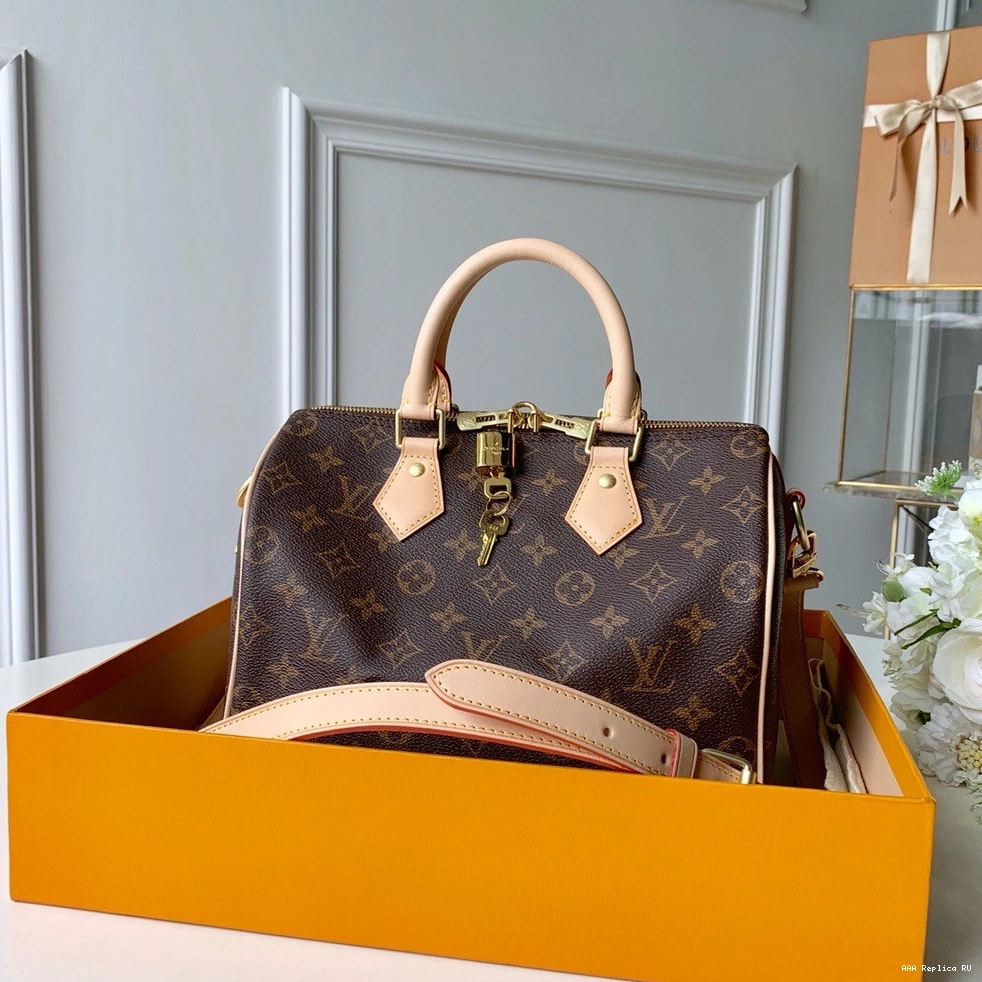 Aaa replica bags Louis SPEEDY Vuitton 25 BANDOULIERE 0821